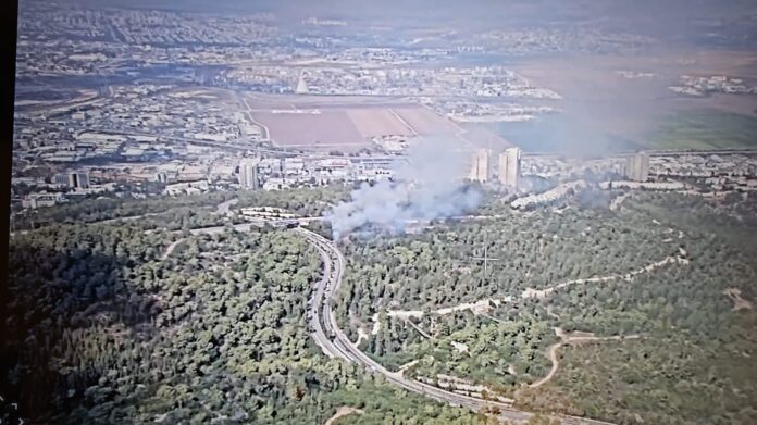 שריפה ביערות נשר (צילום: כבאות והצלה)