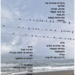 "אמא. יומן מלחמה" • התערוכה של תמר כץ פלד (צילום: תמר פלד)