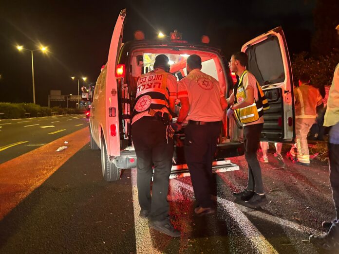 תאונת דרכים קטלנית בכביש החוף בכניסה לחיפה (צילום: מד