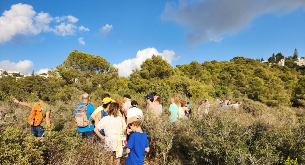 סיור בתל אהרון - שטח ירוק בחיפה (צילום: ישראל פאר)