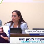 עו"ד שרית גולן שטיינברג – אמש (7/8/24) בוועדה לתכנון ובניה (צילום מסך: עיריית חיפה)