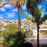 דאליית אל כרמל – נוף הכפר והנטוע (צילום: רחלי אורבך)