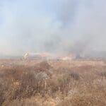 haipo news of haifa fire missiles 240924 (1)