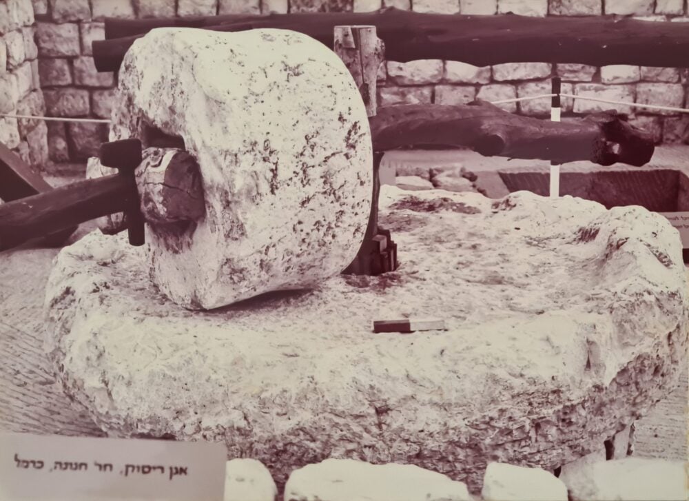 אבני ריחיים במוזיאון בבית החרושת שמן, 1984 (מתוך אלבום מזכרת שהוענק למשפחת מוטקה רון המנהל הראשון)  