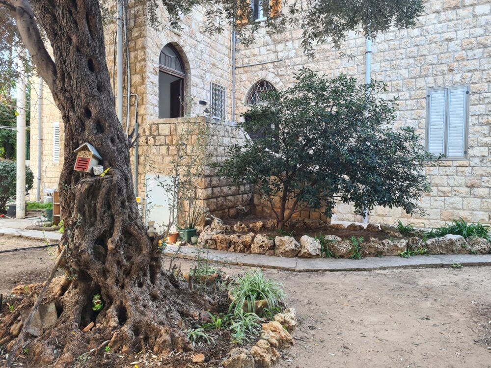 בית הרכבי בבת גלים (צילום: יעל הורוביץ)