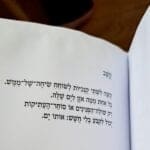 ניקה קושניר + ט' כרמי ='קשב' ולחילופין 'שתי קונכיות' (צילום: רחלי אורבך)