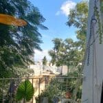 בבית ניקה קושניר – הנוף ממרפסת הבית (צילום: רחלי אורבך)