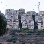 בתים על מורדות הכרמל הצפוני בחיפה (צילום: ירון כרמי)