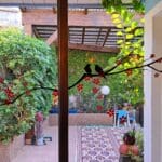 בבית אירית פלץ – מבט אופטימי אל גינת הבית (צילום: רחלי אורבך)