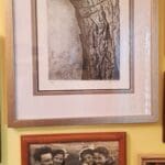 בבית אירית פלץ – 'העץ פולני' וזיכרונות ילדות (צילום: רחלי אורבך)
