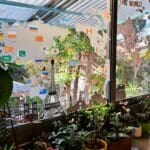 בבית אירית פלץ – העולם על המטבח (צילום: רחלי אורבך)