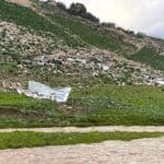 אשפה פזורה על גדות נחל ציפורי – ינואר 2022 (צילום: ירון כרמי)