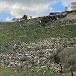 אשפה פזורה על גדות נחל ציפורי – ינואר 2022 (צילום: ירון כרמי)