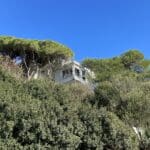 בית בתוך חורש על מצק מעל נחל לוטם – חיפה (צילום: ירון כרמי)