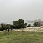 שטח פתוח – יפו (צילום: ירון כרמי)