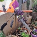 בבית גבי נפתלי – "המכשפה" אשר בגינה (צילום: רחלי אורבך)