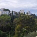 בבית גבי נפתלי – נוף קסום המתפרש עד תכול הים (צילום: רחלי אורבך)
