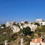 בבית צחי וויט – מדרון נחל אחוזה (צילום: רחלי אורבך)