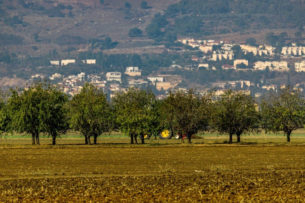 עמק החולה מלבלב מול קריית שמונה הנטושה - דצמבר 2024 (צילום: אבי אלבאום)