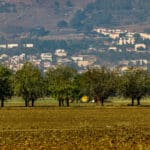 כ-1.5 מיליארד שקל להתחדשות עירונית בצפון הארץ עמק החולה מלבלב מול קריית שמונה הנטושה - דצמבר 2024 (צילום: אבי אלבאום)