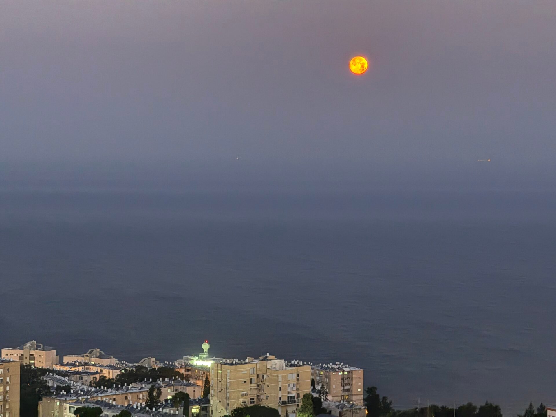 שקיעת ירח בצבע זהב - בוקר יום ב', 13/1/25 (צילום: ירון כרמי)