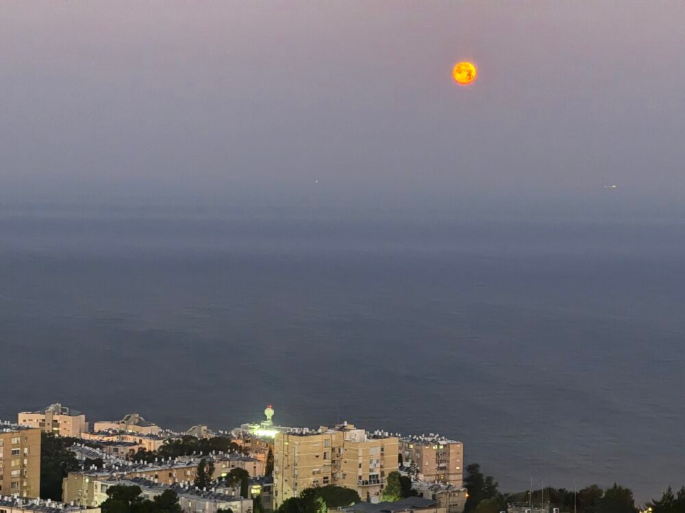 שקיעת ירח בצבע זהב - בוקר יום ב', 13/1/25 (צילום: ירון כרמי)