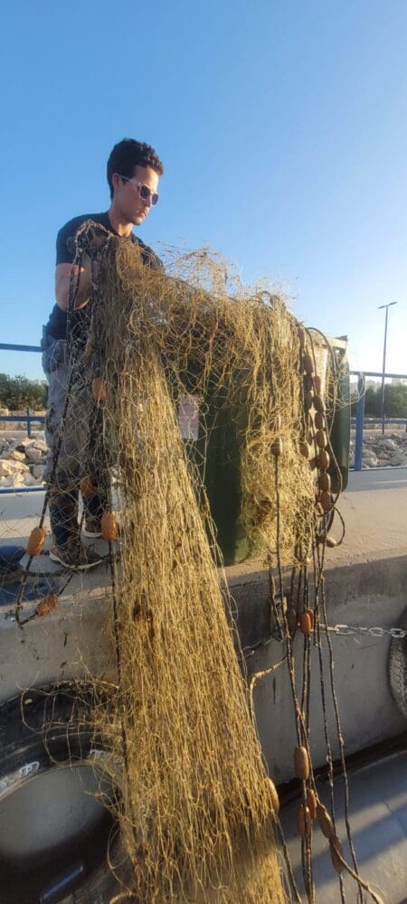 רשת רפאים בחיפה (צילום: רשות הטבע והגנים)
