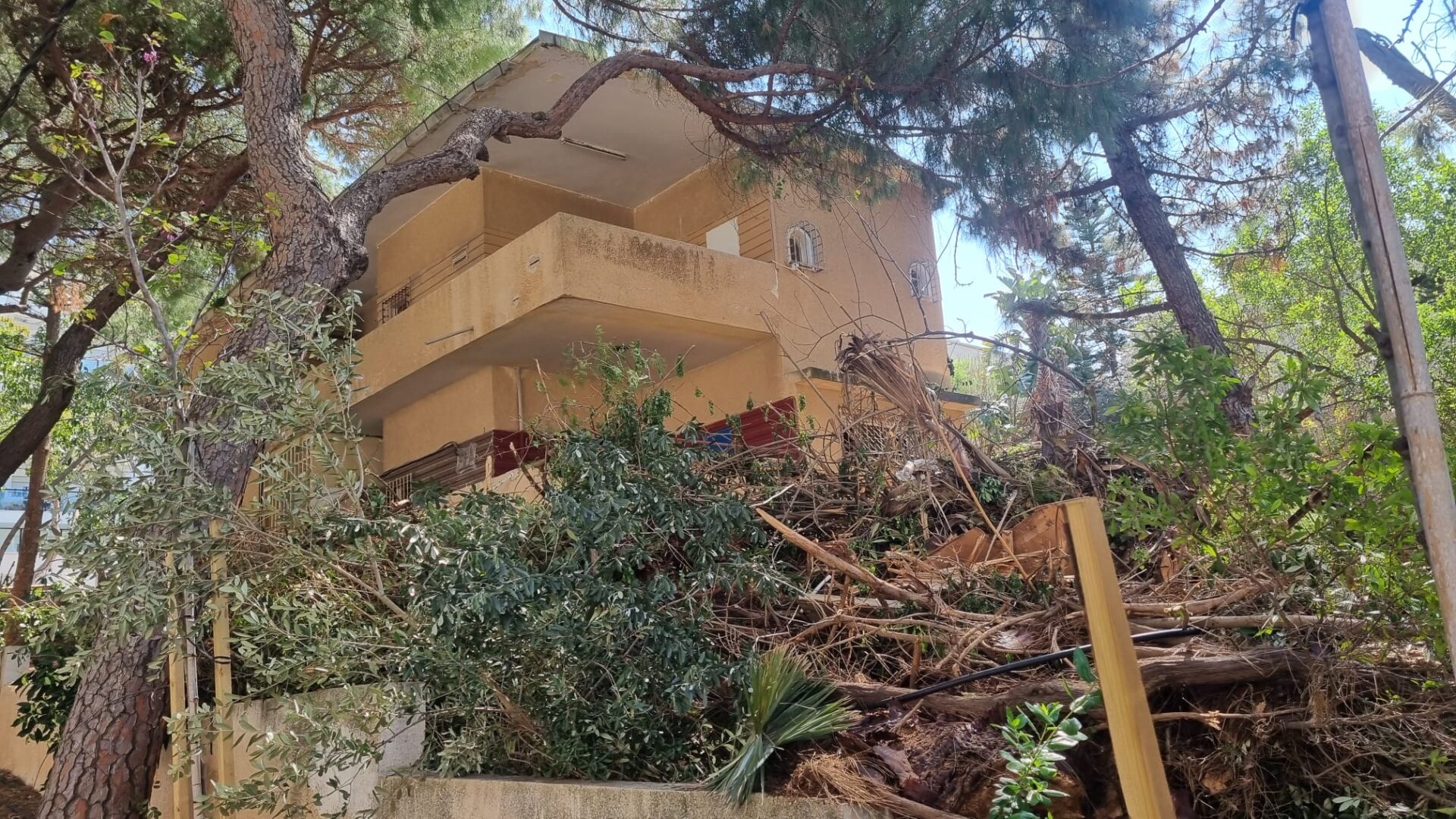 שדרות הצבי 27 (צילום: פרופ' עוזי אלידע)