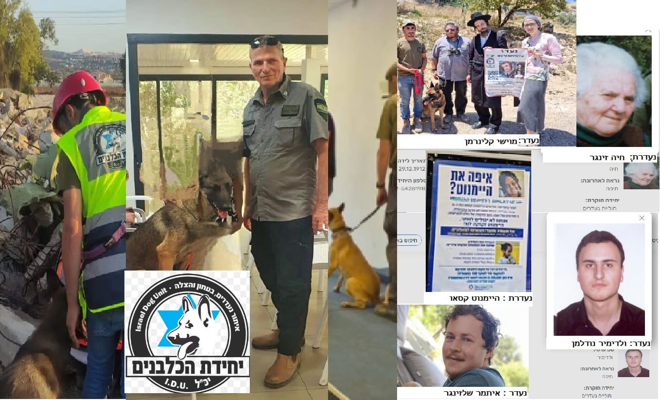 נעדרים (צילום: תמי גולדשטיין)