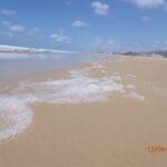 IMG-20250415-WA0024