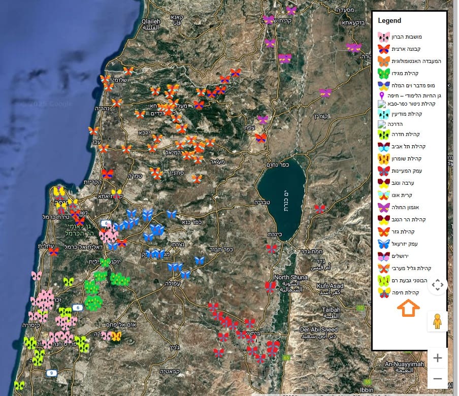 קהילת ניטור פרפרים חיפה
