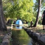 הגן הלאומי חורשת טל (צילום: טל קדוש, רשות הטבע והגנים)