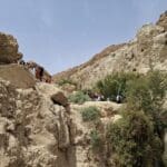 שמורת הטבע עין גדי (אפרת רוחין, רשות הטבע והגנים)