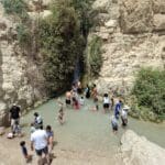 שמורת הטבע עין גדי (אפרת רוחין, רשות הטבע והגנים)