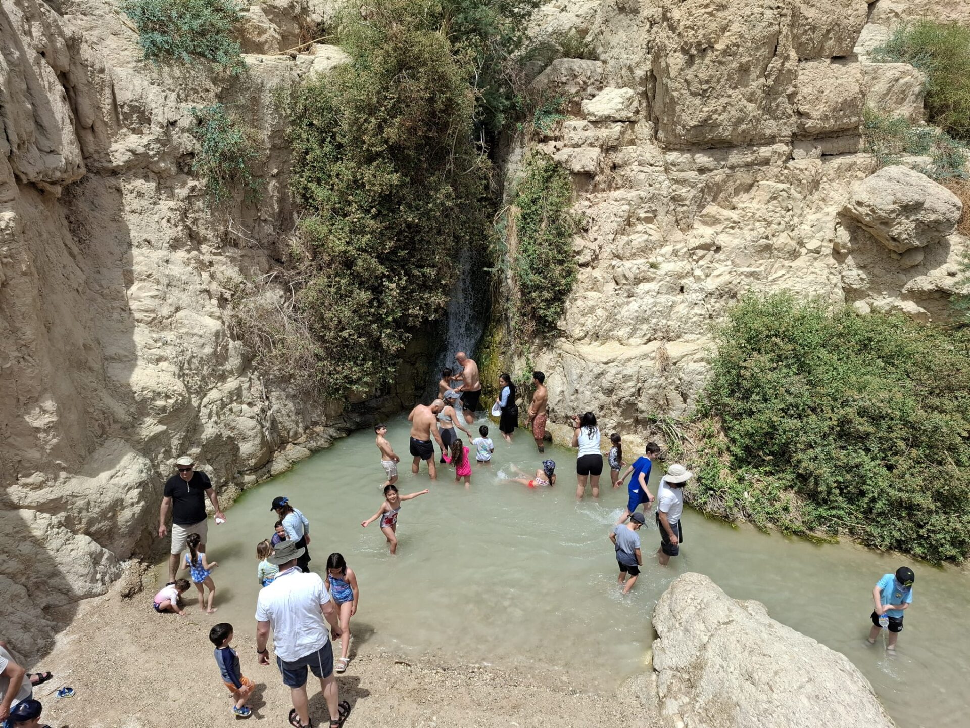 שמורת הטבע עין גדי (אפרת רוחין, רשות הטבע והגנים)