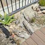 בבית יוסי קורי – על הגג הירוק: "בית גידול לחרקים" (צילום: רחלי אורבך)