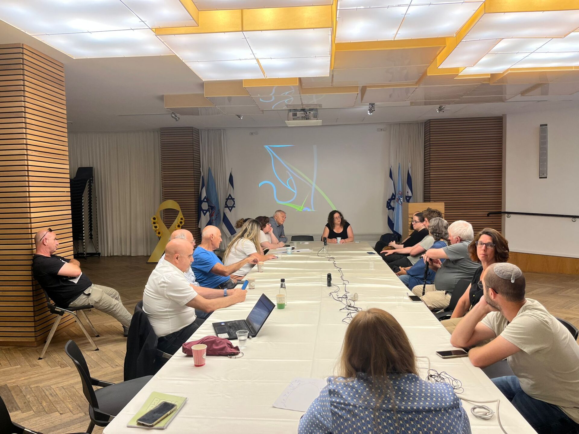 ישיבת הוועדה לאיכות הסביבה בנושא גגות סולריים - 13/5/25 (צילום: מיכל גרובר)