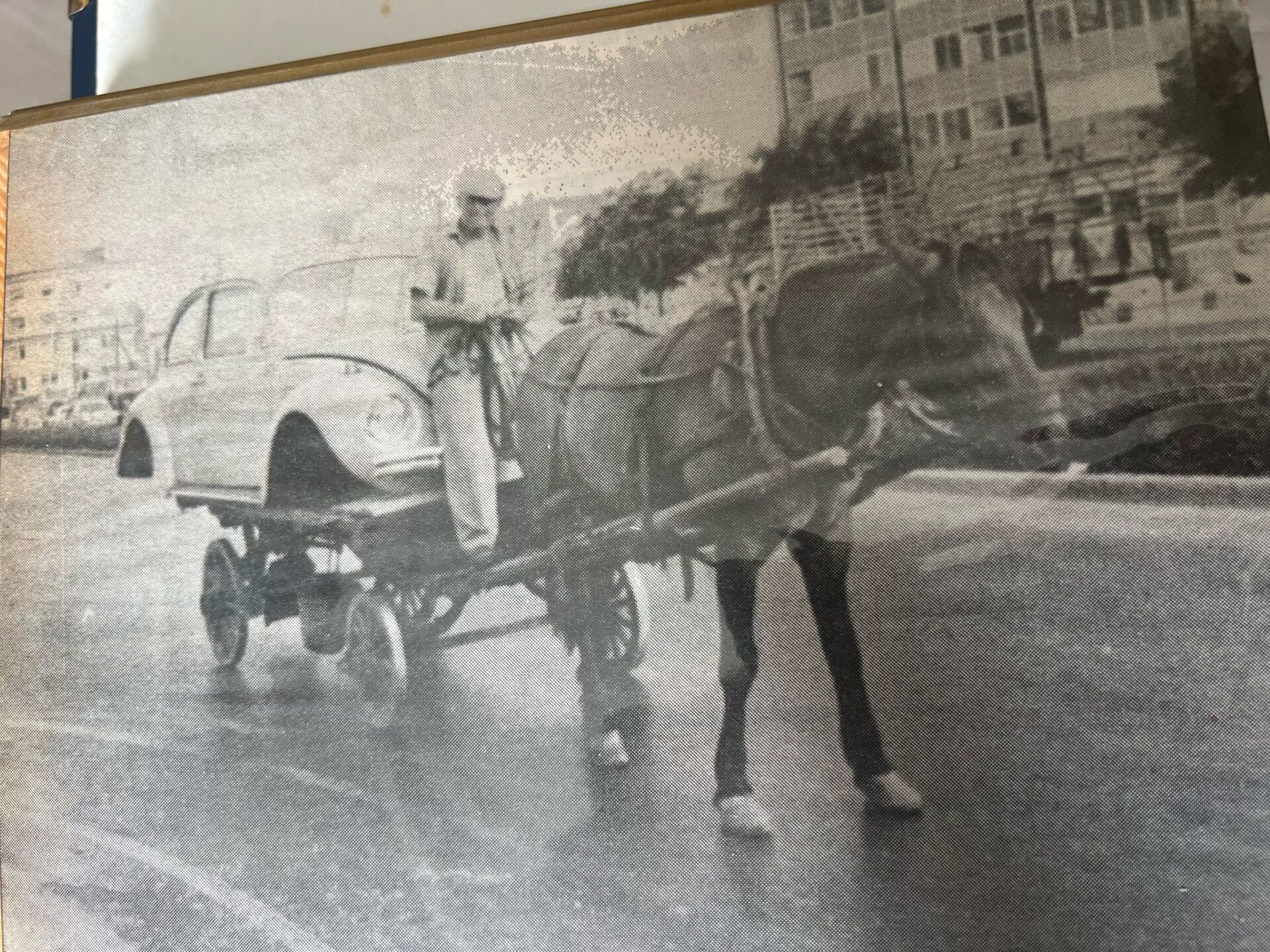 בתמונה: עגלון מוביל ״חיפושית״ בעגלה בשדרות פלי״ם בחיפה (צילום: אורי שרון)