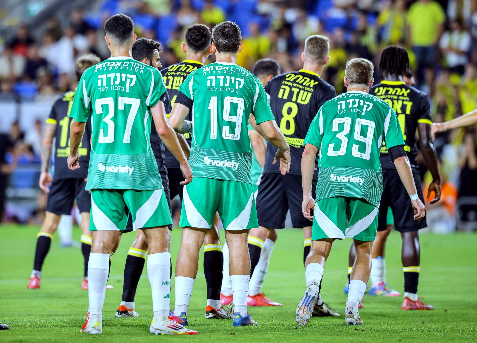 (צילום: מכבי חיפה האתר הרישמי, אסי פטוקה)