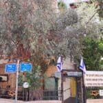 "יד עזר לחבר" – מבט אל הכניסה לחדר האוכל ולבית הכנסת (צילום: רחלי אורבך)