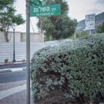 העיר נשר (צילום :שרון לייבל)