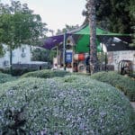 גן משחקים לזכר סמל אורי אוחיון בעיר נשר (צילום :שרון לייבל)