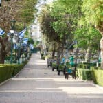 רחבת הטקסים בית העלמין הצבאי בחיפה (צילום: שרון לייבל)