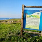 שמורת נחל עלייה בטיילת שקמונה (צילום: שרון לייבל)
