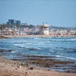 חוף הכרמל במבט מטיילת שקמונה (צילום: שרון לייבל)