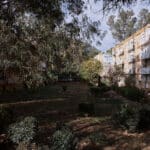 שכונת קריית אליעזר (צילום: שרון לייבל)