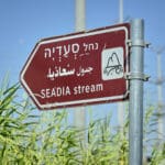 נחל סעדיה (צילום: שרון לייבל)