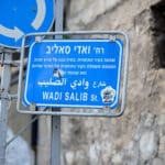 ואדי סאליב (צילום: שרון לייבל)