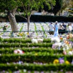 יום הזכרון בית העלמין הצבאי בחיפה (צילום: שרון לייבל)