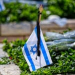 מצבת חלל צה״ל בבית העלמין הצבאי בחיפה (צילום: שרון לייבל)